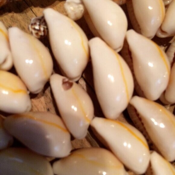 Vintage Cowrie and Seashell Shell Trivet Coaster Hot Pad Wall Art 10” Boho Decor - Picture 14 of 15